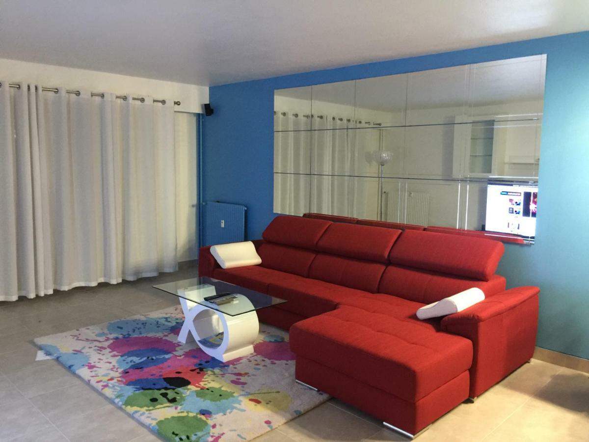 Grand Appartement A Louer Vue Sur Seine 默伦 外观 照片